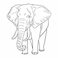 Бесплатное векторное изображение Нарисованная рукой иллюстрация слона