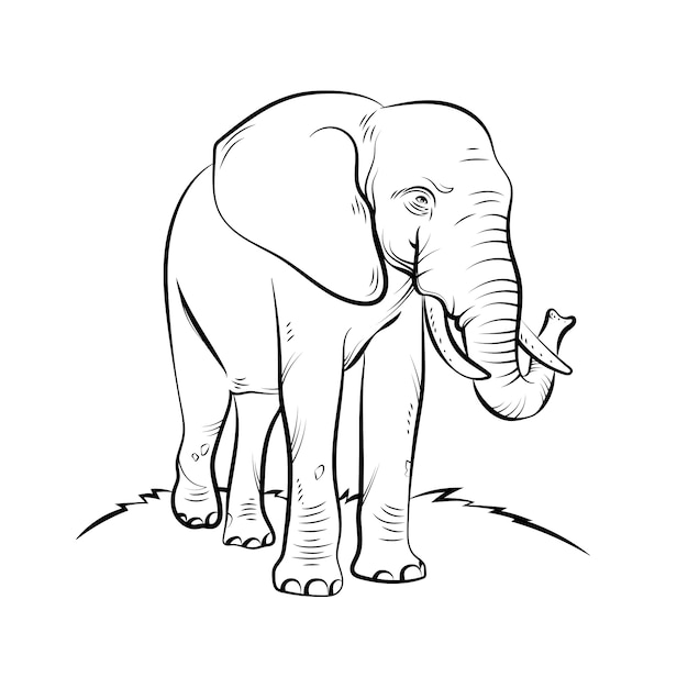 Нарисованная рукой иллюстрация слона