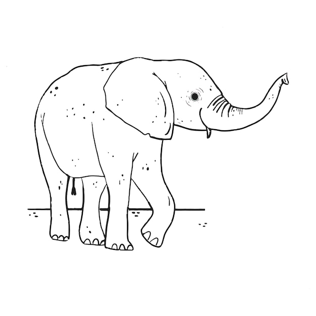 Hand drawn elephant outline illustration