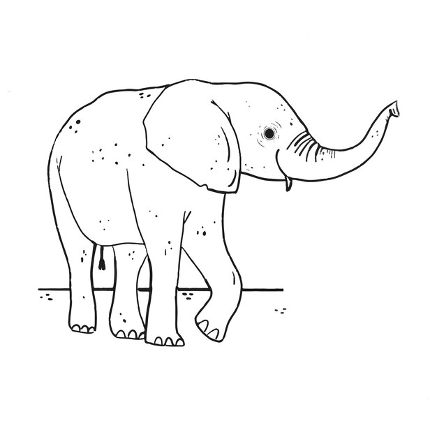 Hand drawn elephant outline illustration