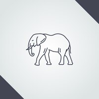 Hand drawn elephant outline illustration