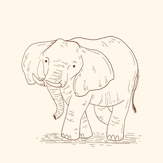 Vettore gratuito illustrazione del profilo dell'elefante disegnato a mano