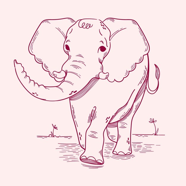 Hand drawn elephant outline illustration