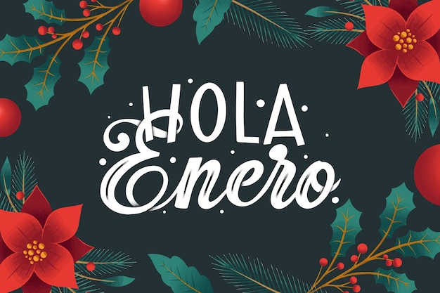 Free vector hand drawn enero lettering