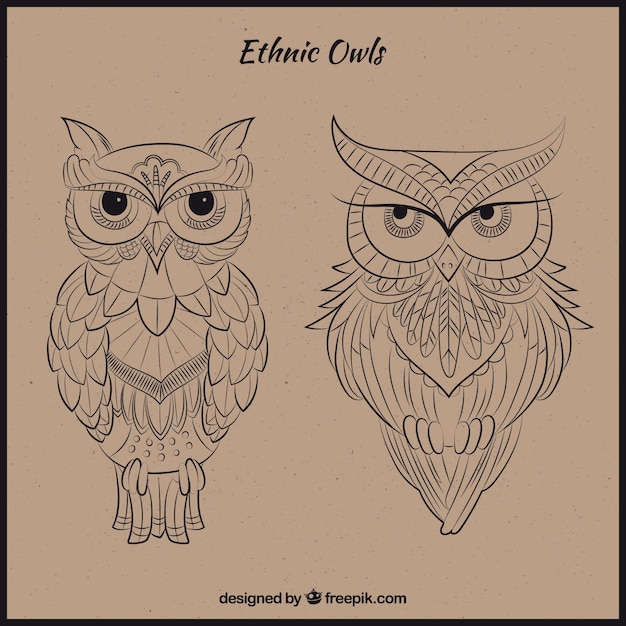 Free vector hand drawn ethnic owls