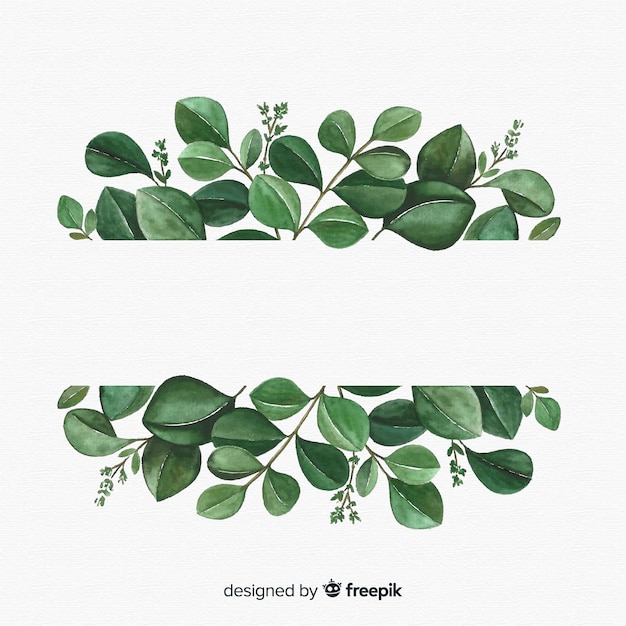 Free vector hand drawn eucalyptus leaves background