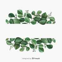 Free vector hand drawn eucalyptus leaves background