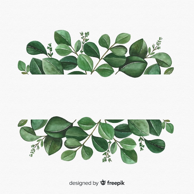 Hand drawn eucalyptus leaves background
