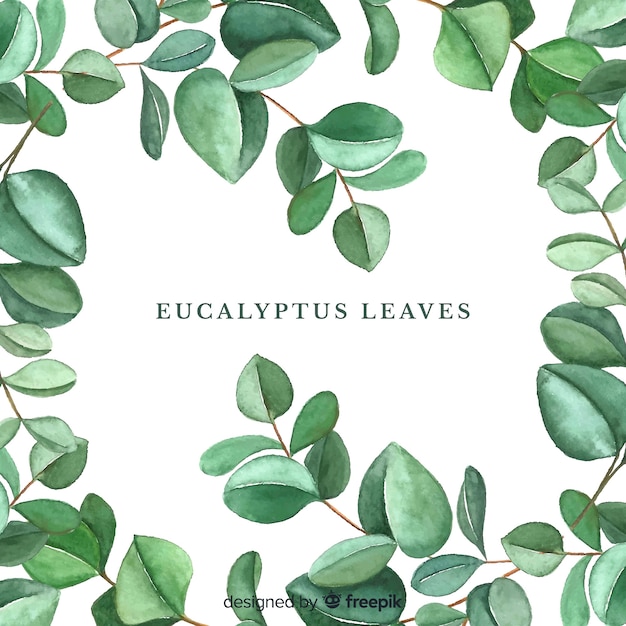 Hand drawn eucalyptus leaves background