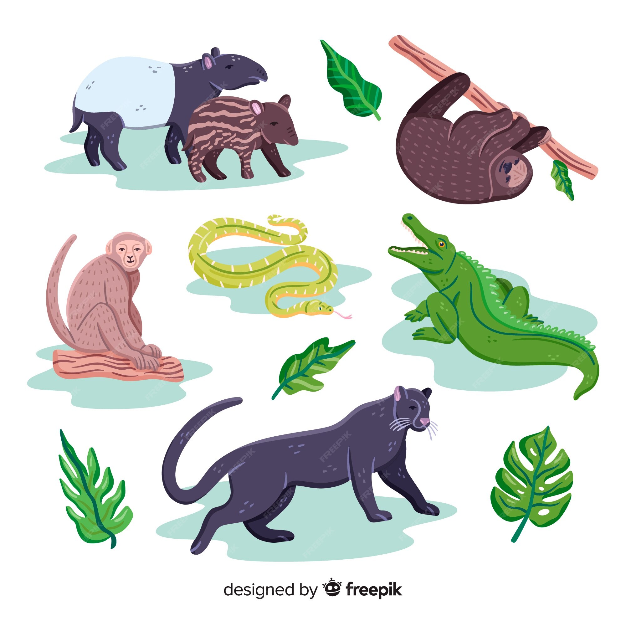 Free Vector | Hand drawn exotic animal collection Free Vector | Hand drawn exotic animal collection