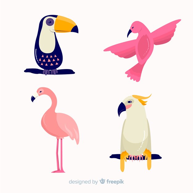 Free vector hand drawn exotic bird collection