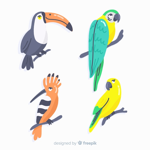 Free vector hand drawn exotic bird collection