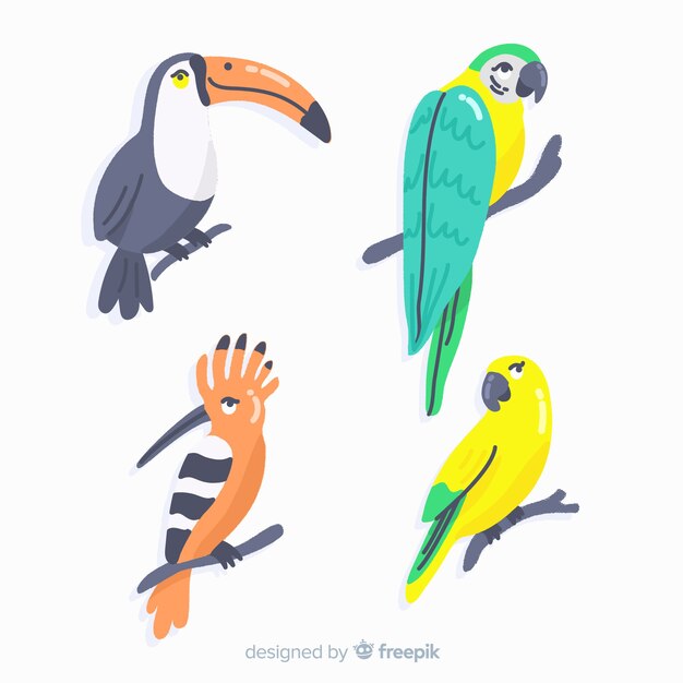 Hand drawn exotic bird collection