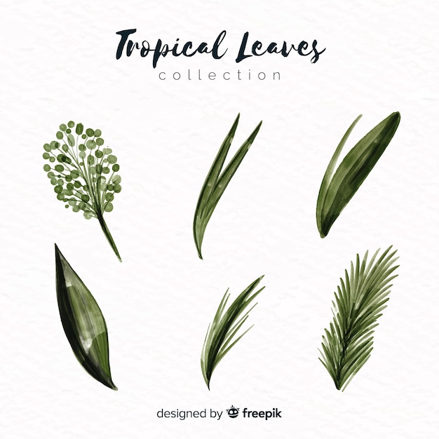 Free vector hand drawn exotic leaves pack