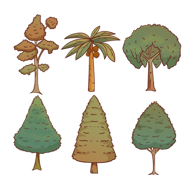 Hand drawn exotic type of trees collection