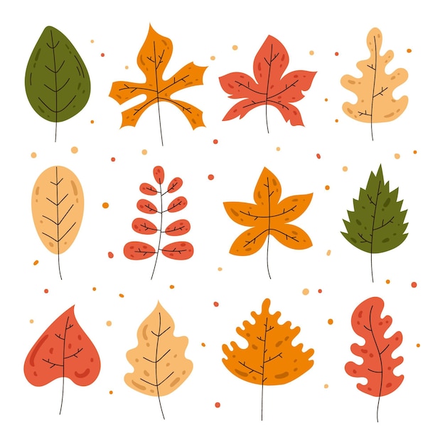 Free vector hand drawn fall leaves set