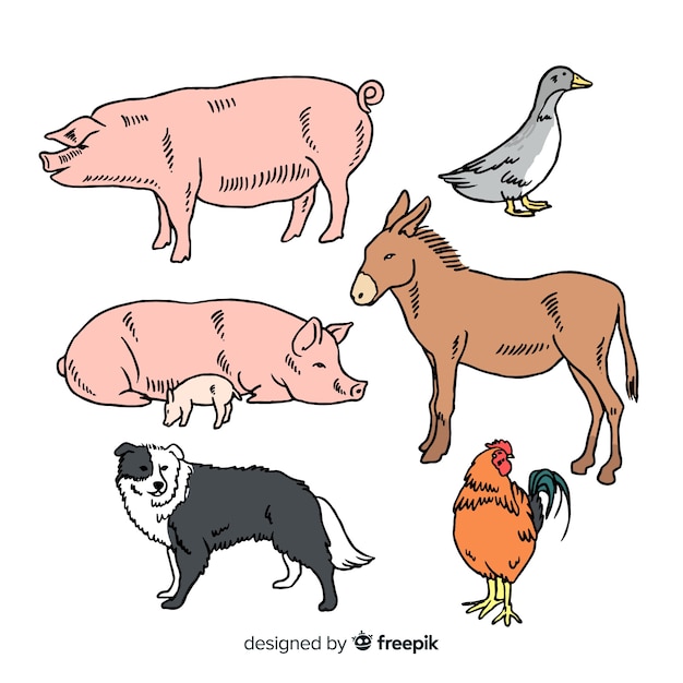 Free vector hand drawn farm animal collection