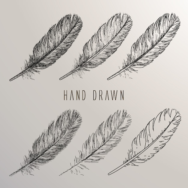 Free vector hand drawn feather collection