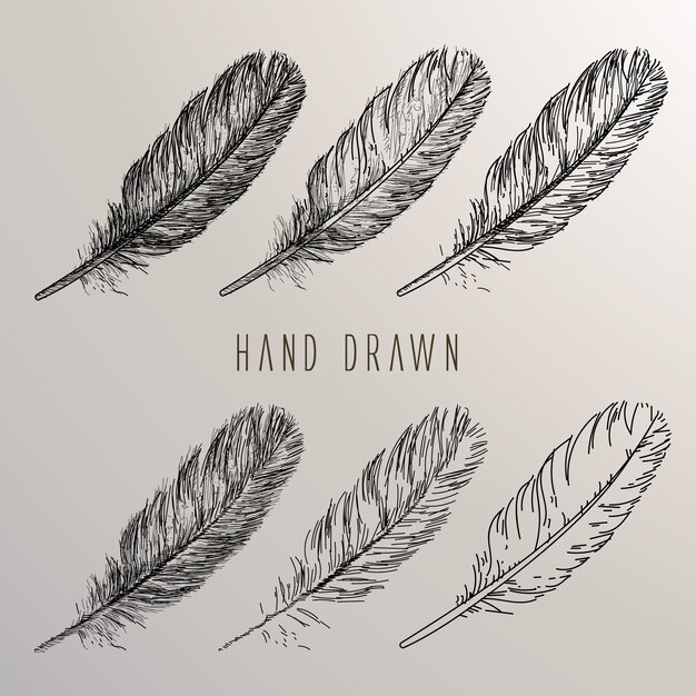 Hand drawn feather collection