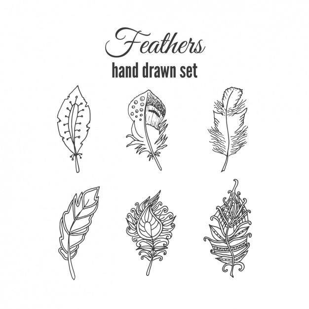 Hand drawn feather collection