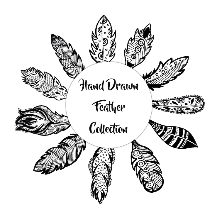 Free Vector  hand drawn feather collection