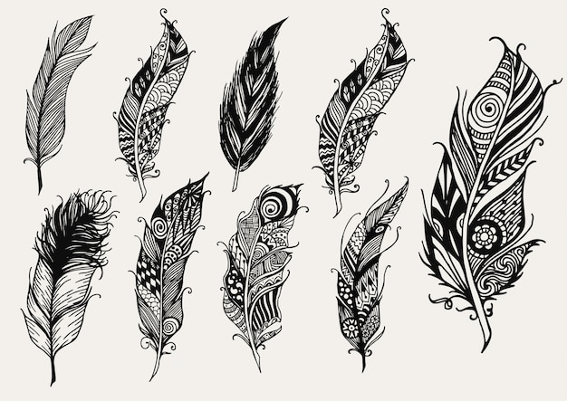 Hand drawn feather collection