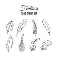 Hand drawn feather pack