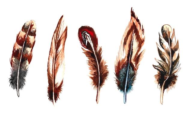 Hand drawn feathers watercolor set on white background