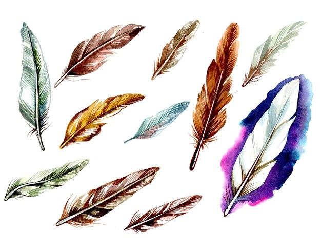 Hand drawn feathers watercolor set on white surface