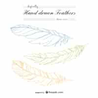 Free vector hand drawn feathers