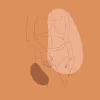 Бесплатное векторное изображение Ручной обращается контур женского тела