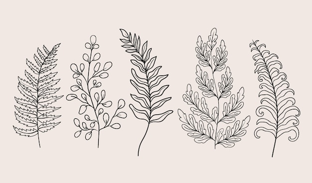 Fern Outline Images - Free Download on Freepik