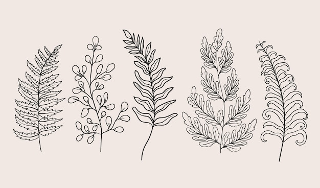 Free vector hand drawn fern outline illustration