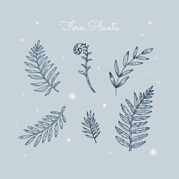 Free vector hand drawn fern outline illustration