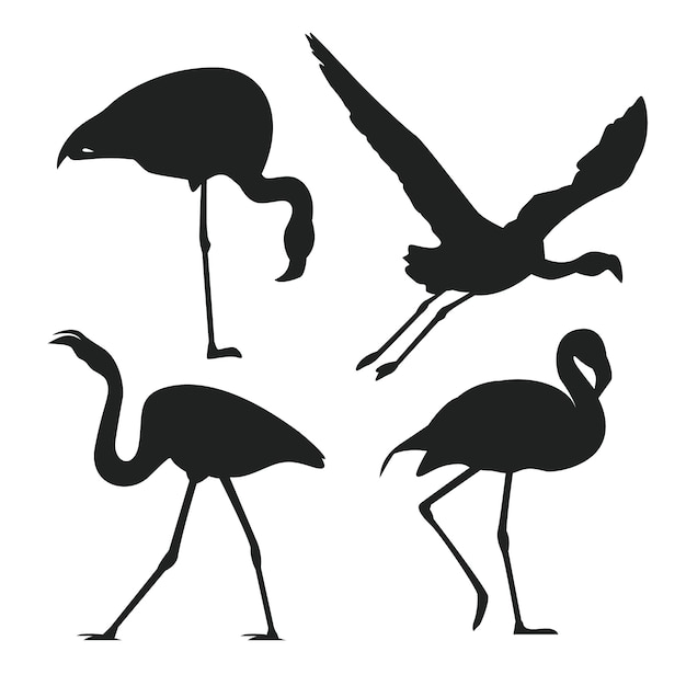 Бесплатное векторное изображение Ручной обращается силуэт фламинго