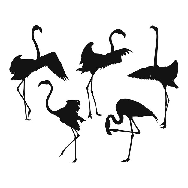 Hand drawn flamingo silhouette