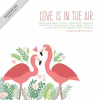 Free vector hand drawn flamingos in love background