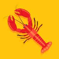 Free vector hand drawn flat design crawfish illustration