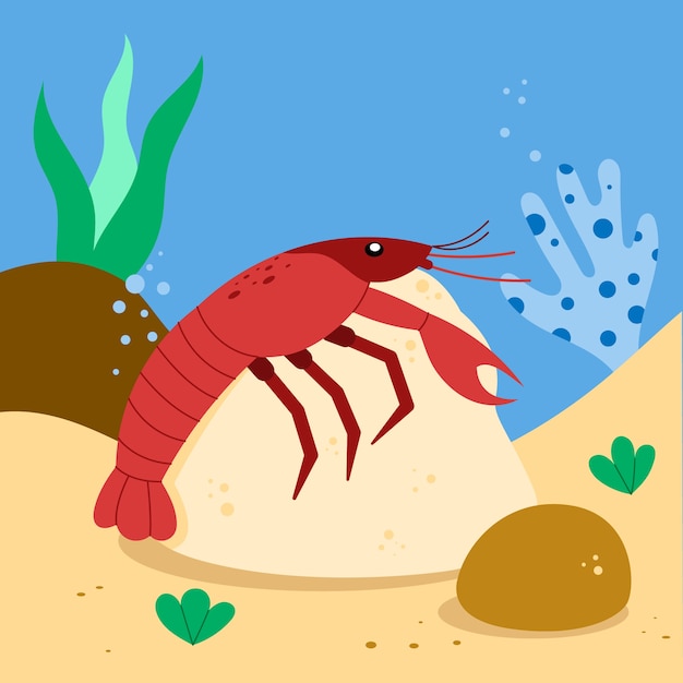 Hand drawn flat design crawfish illustration