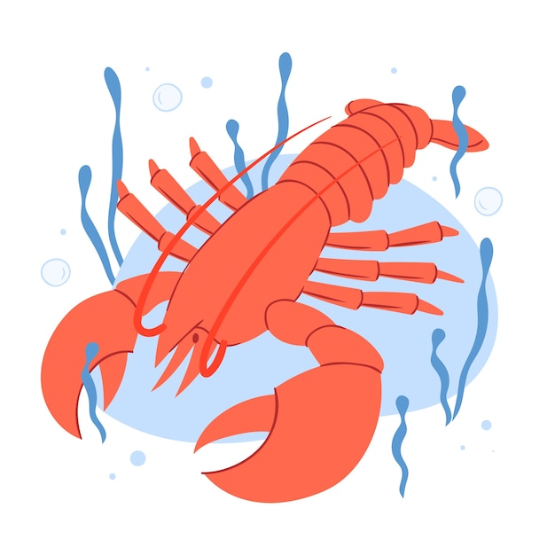 Hand drawn flat design crawfish illustration