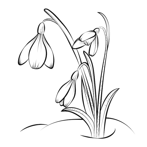 Нарисованная рукой иллюстрация цветка плоского дизайна