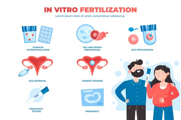 무료 벡터 손으로 그린된 평면 디자인 ivf infographic