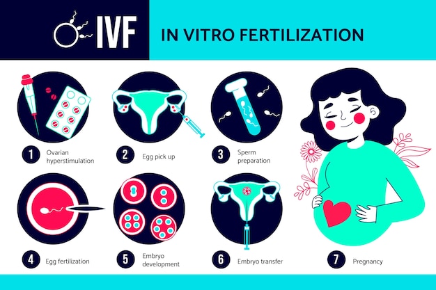 Бесплатное векторное изображение Ручной обращается плоский дизайн ivf инфографика