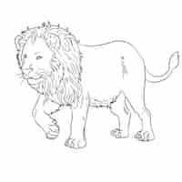 Vettore gratuito contorno di leone design piatto disegnato a mano