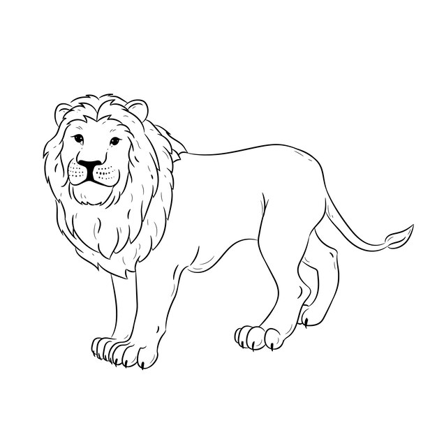 Hand drawn flat design lion outline