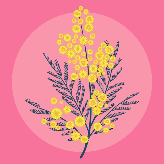 Illustrazione della mimosa di design piatto disegnato a mano