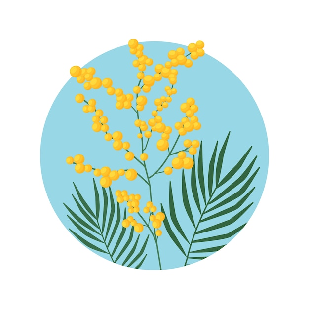 Illustrazione della mimosa di design piatto disegnato a mano