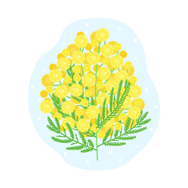 Hand drawn flat design mimosa illustration