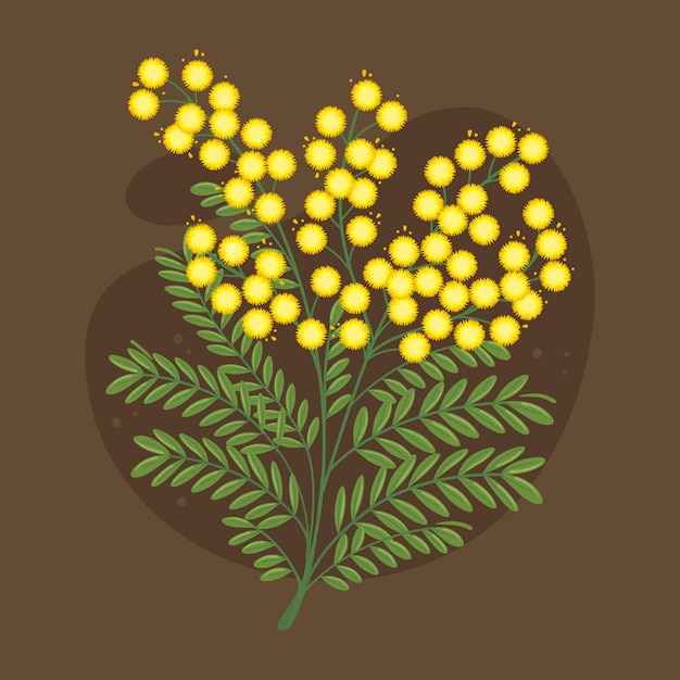 Hand drawn flat design mimosa illustration