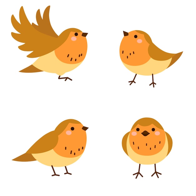 Hand drawn flat design robin collection